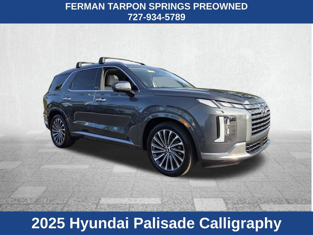 Used 2025 Hyundai Palisade Calligraphy AWD/4WD image 1