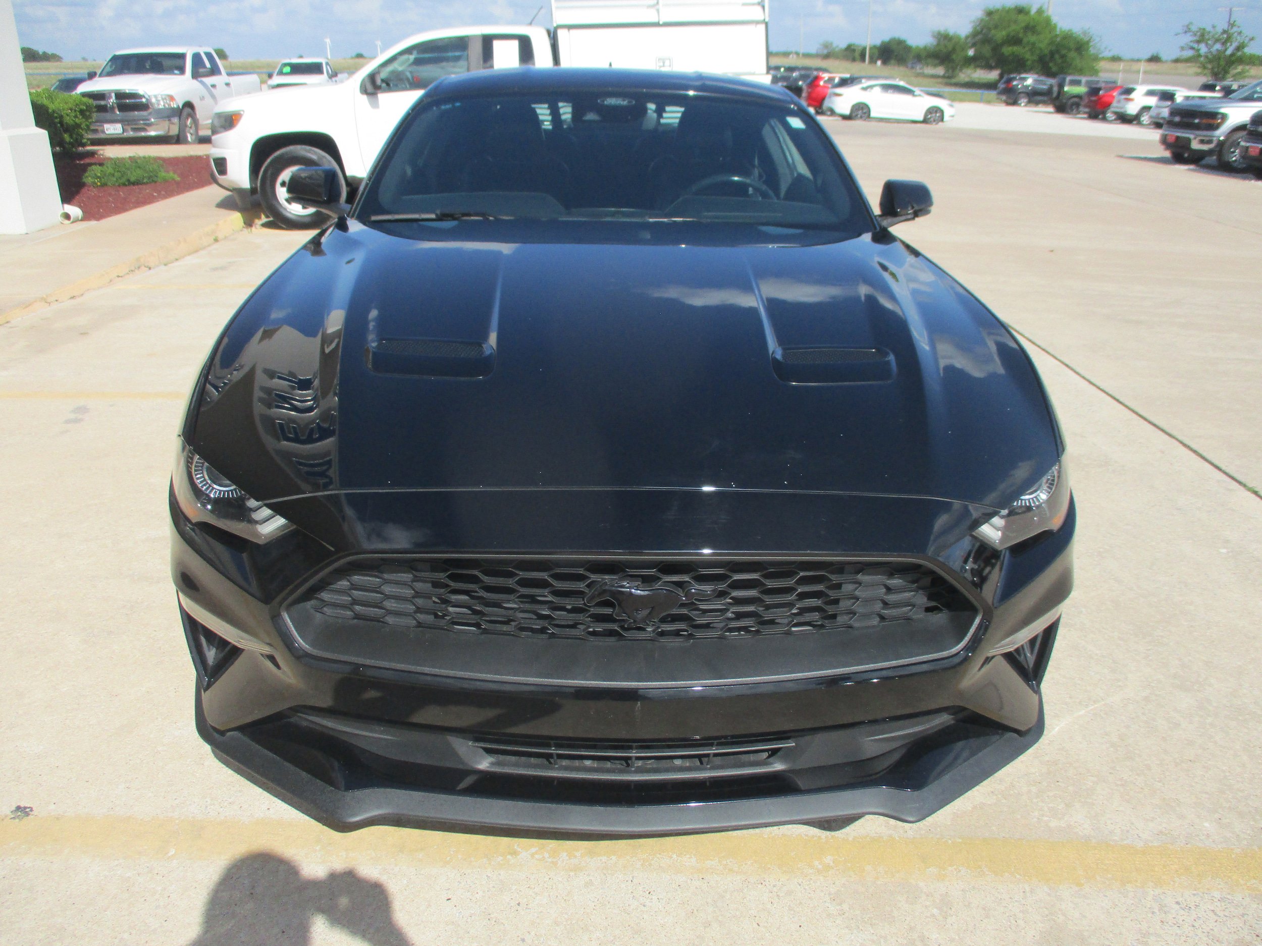 Used 2023 Ford Mustang Premium w/ Equipment Group 201A RWD image 10