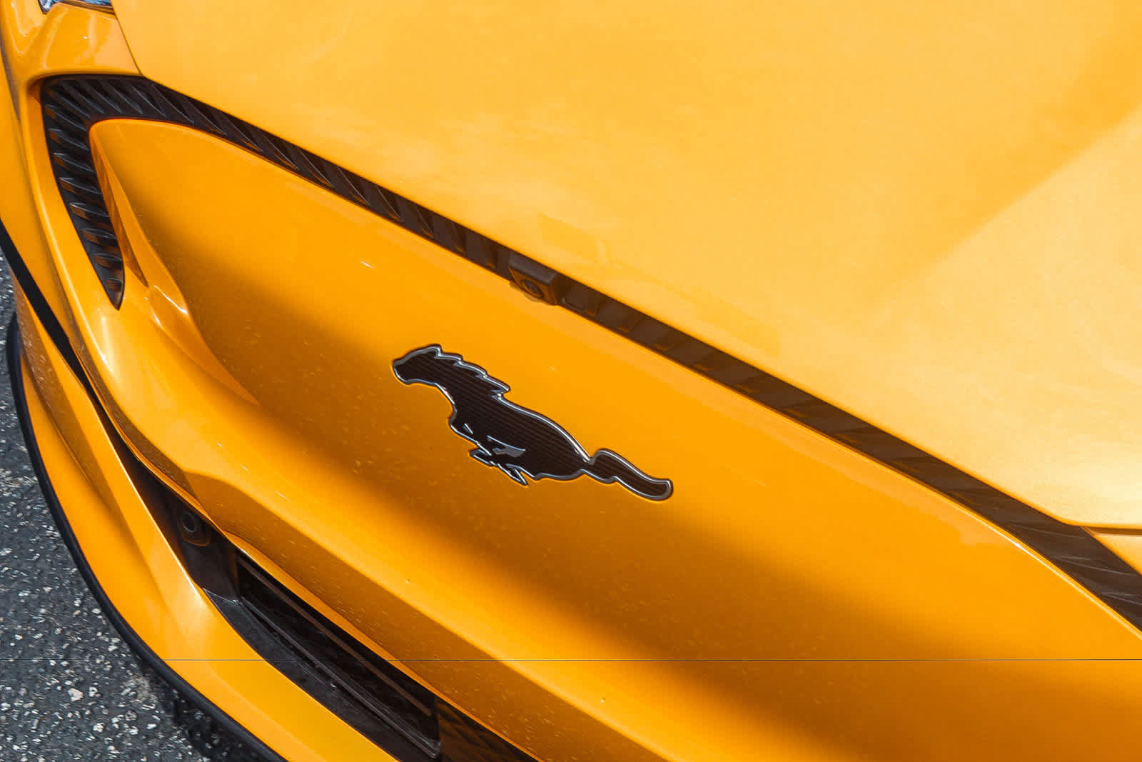 Used 2023 Ford Mustang Mach-E Select AWD/4WD image 14