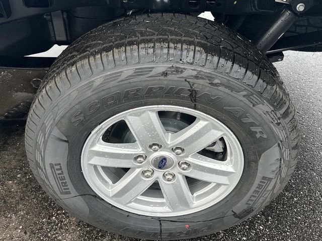 New 2025 Ford F150 XL w/ Equipment Group 103A High image 16