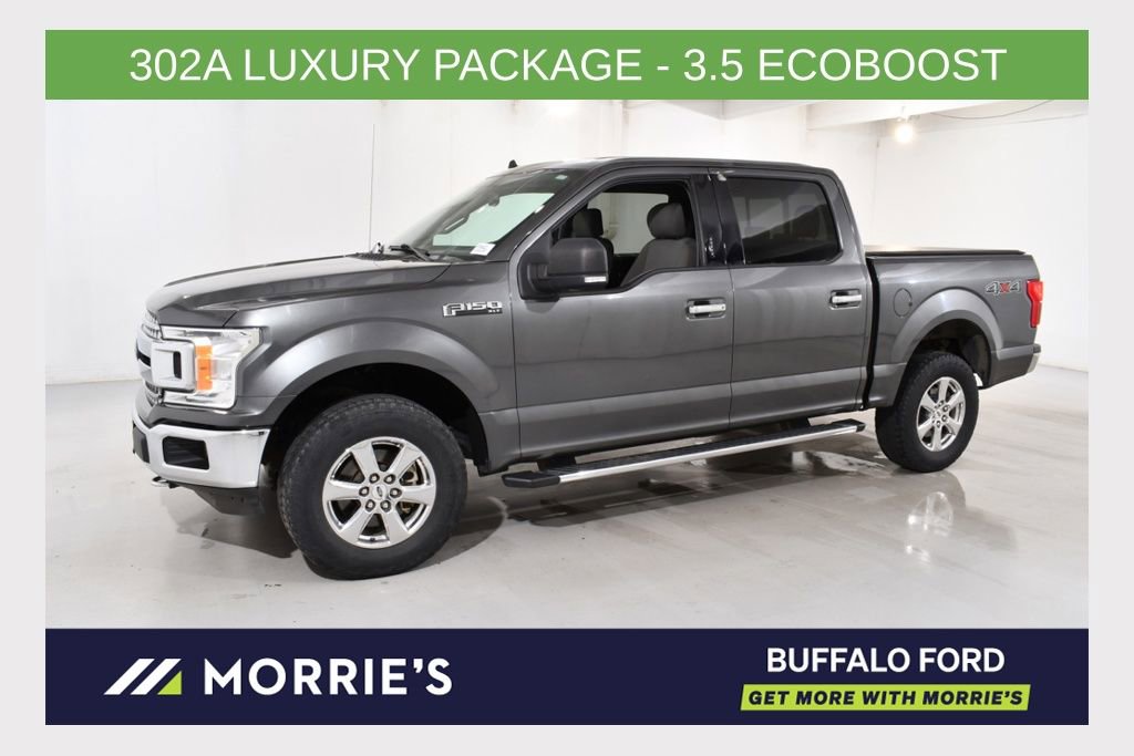 Used 2019 Ford F150 XLT w/ Equipment Group 302A Luxury AWD/4WD image 1