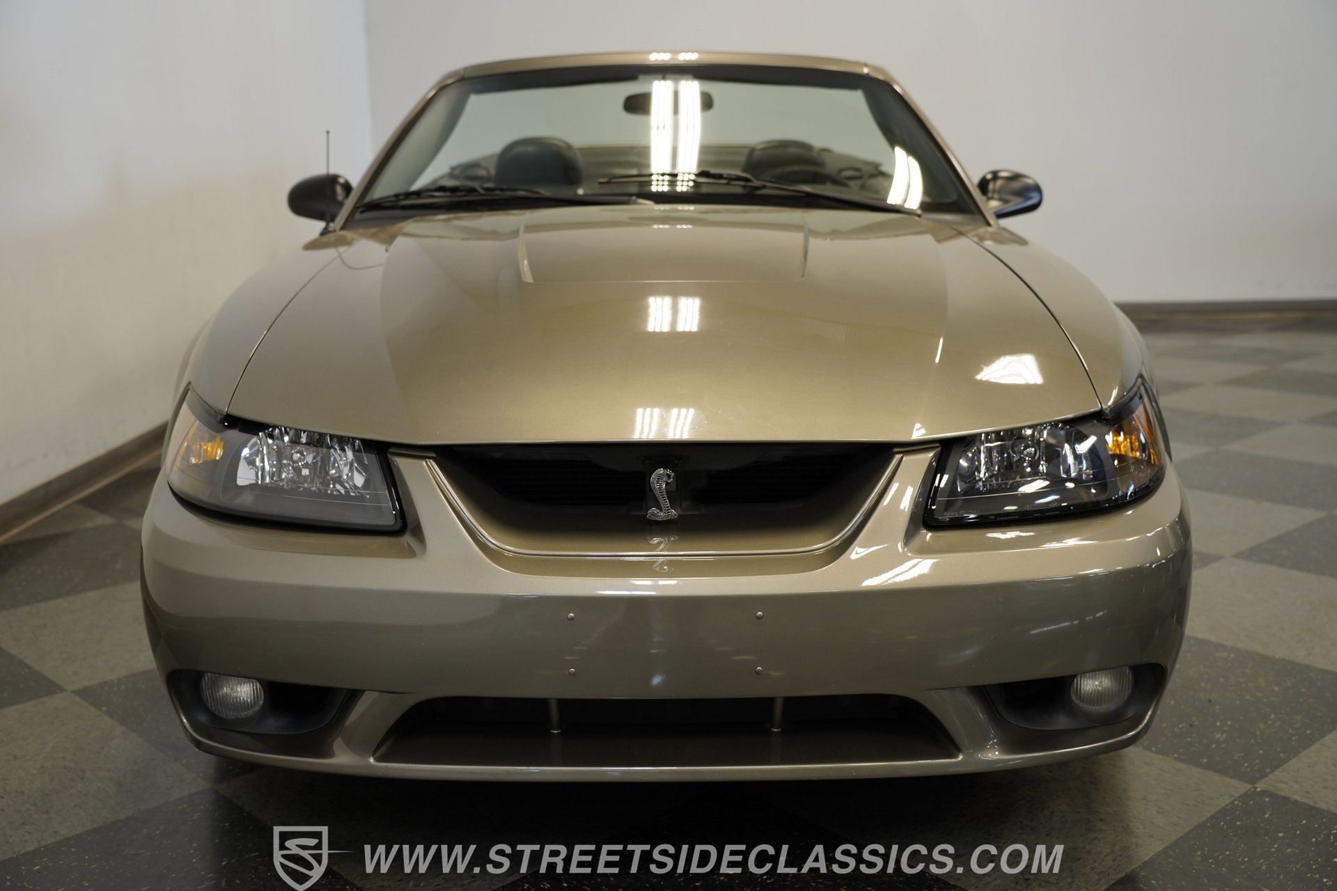 Used 2001 Ford Mustang Cobra RWD image 18