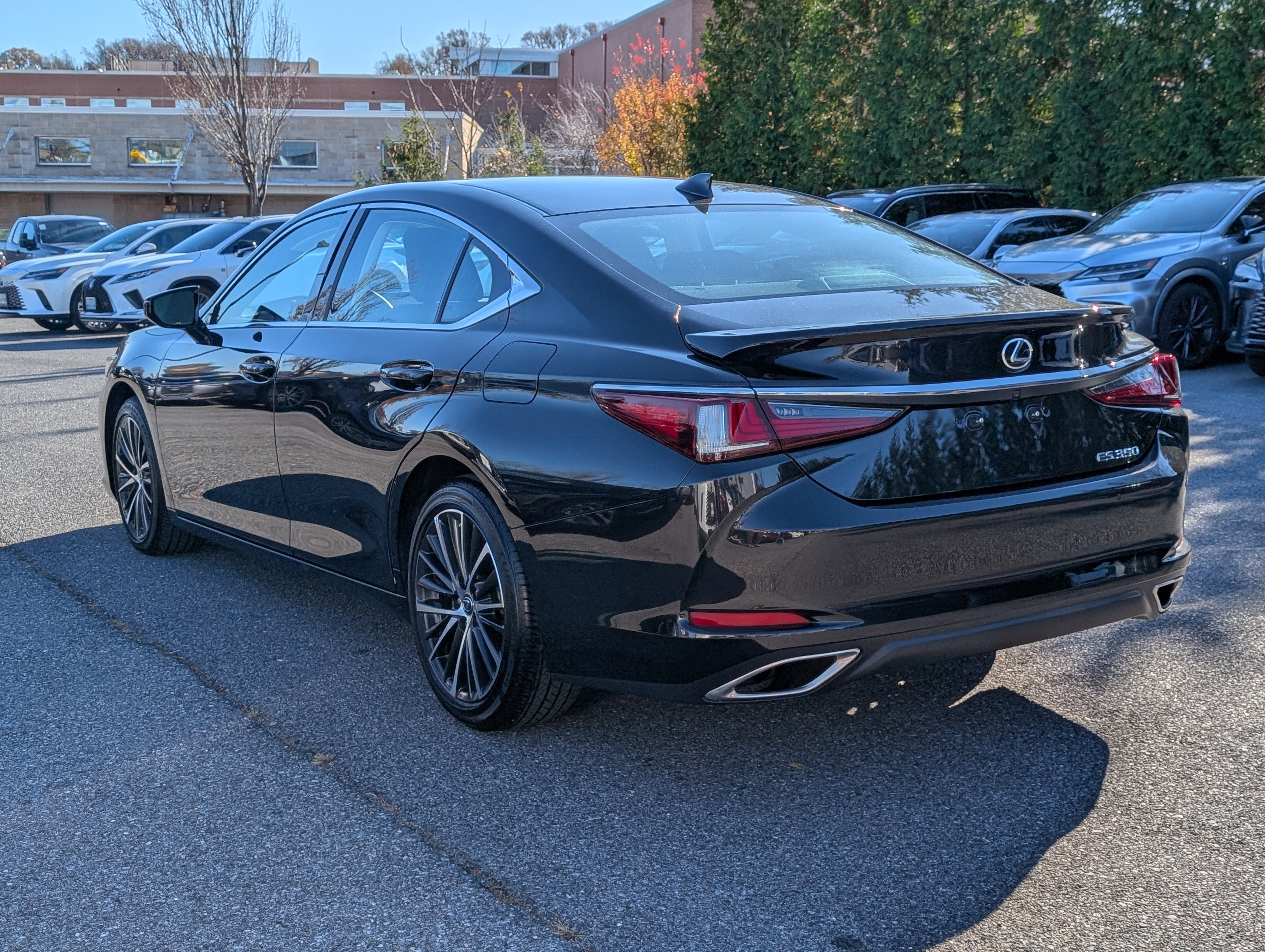Certified 2024 Lexus ES 350 w/ Premium Package image 5
