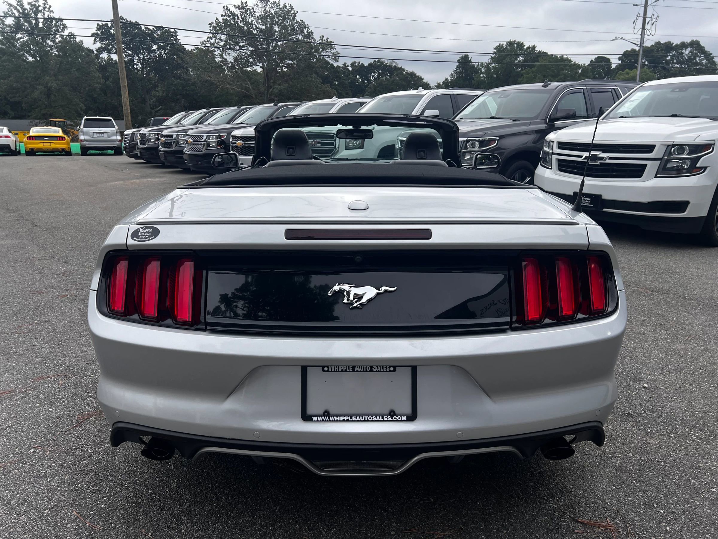 Used 2017 Ford Mustang Premium image 6