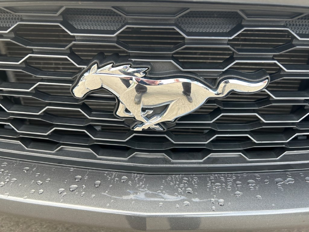 Used 2017 Ford Mustang Coupe RWD image 31