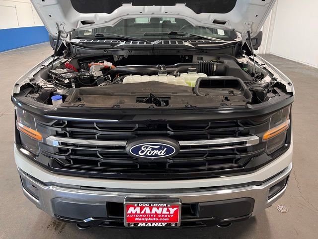 Used 2024 Ford F150 XLT w/ Mobile Office Package image 9