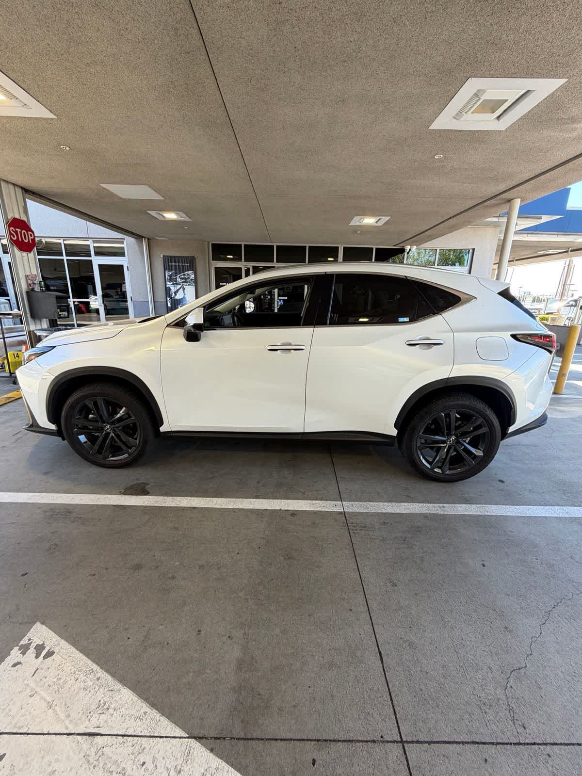 Used 2024 Lexus NX 450h+ AWD w/ Vision Package image 8