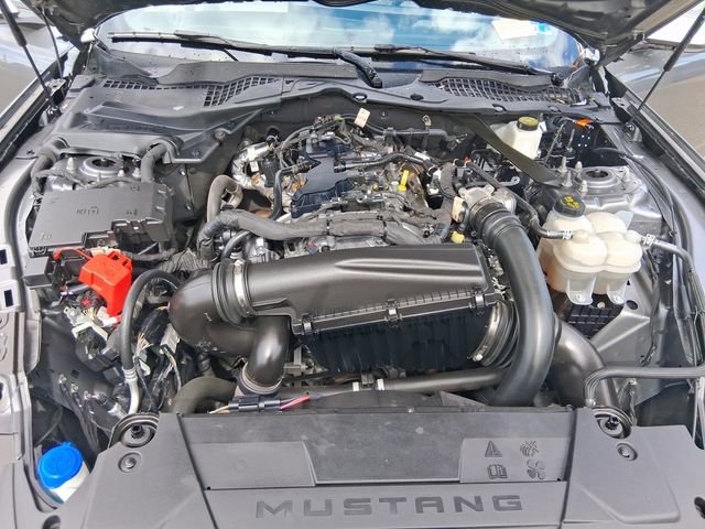 Used 2024 Ford Mustang Premium image 20
