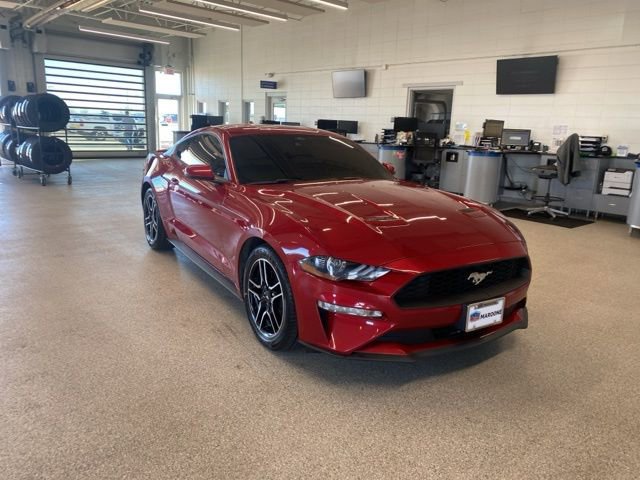 Used 2021 Ford Mustang Premium w/ Equipment Group 201A image 3