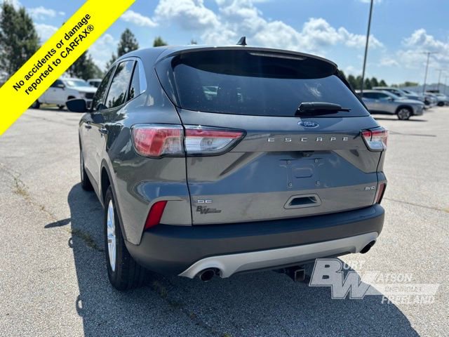 Used 2021 Ford Escape SE w/ Convenience Package image 4