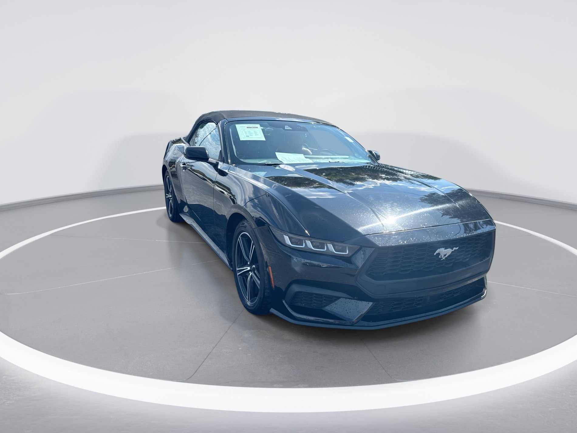 Used 2024 Ford Mustang Premium RWD image 2