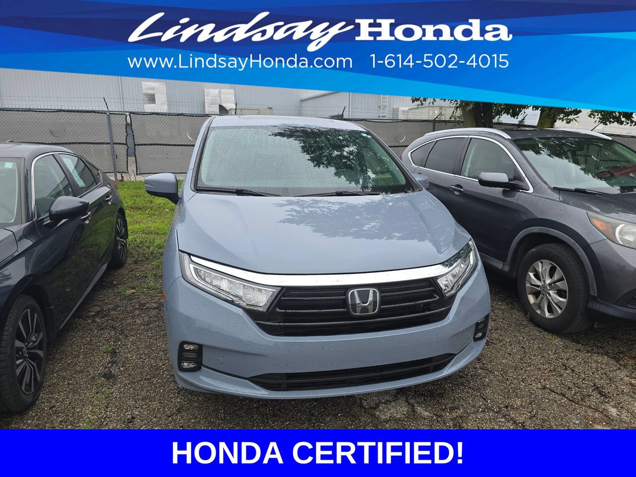 Certified 2024 Honda Odyssey Elite image 2