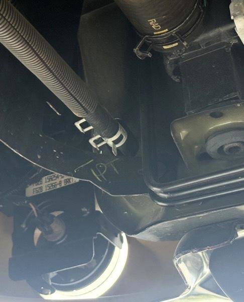 Used 1996 Ford Mustang Cobra RWD image 67