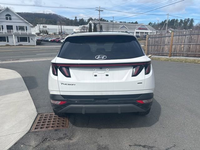 Used 2023 Hyundai Tucson Limited image 7