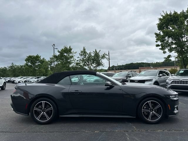 Used 2024 Ford Mustang Premium RWD image 6