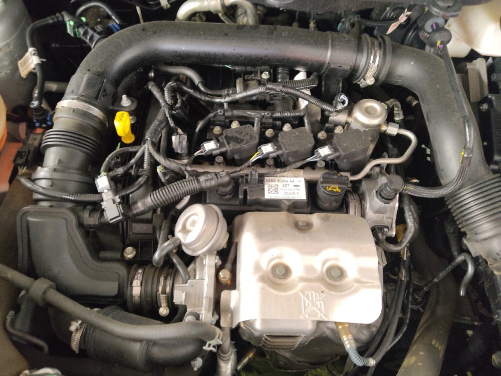 Used 2020 Ford EcoSport SE FWD image 30