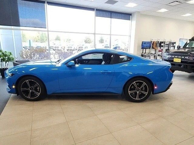 Used 2024 Ford Mustang Premium image 7