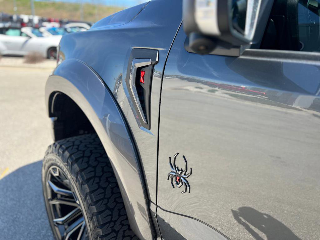 New 2025 Ford F150 XLT w/ Equipment Group 303A High image 13