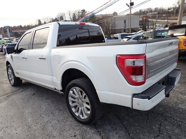 Used 2023 Ford F150 Limited image 3