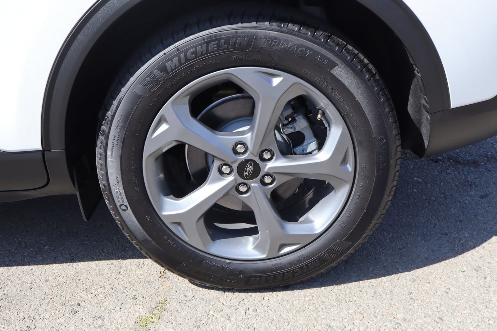 Used 2025 Ford Escape ST-Line w/ Equipment Group 301A FWD image 13