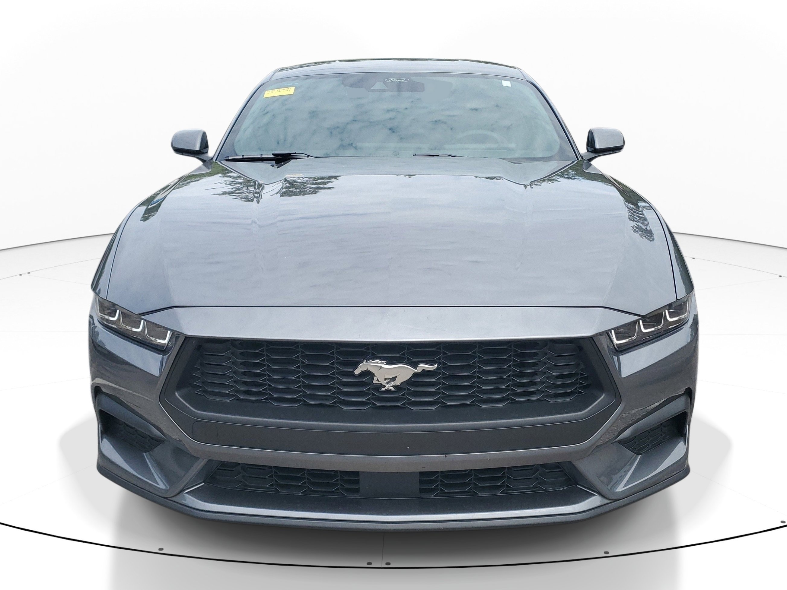 Used 2024 Ford Mustang Coupe RWD image 2