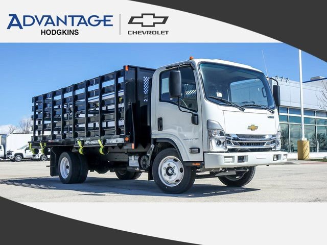 New 2024 Chevrolet Low Cab Forward 5500XG RWD image 1