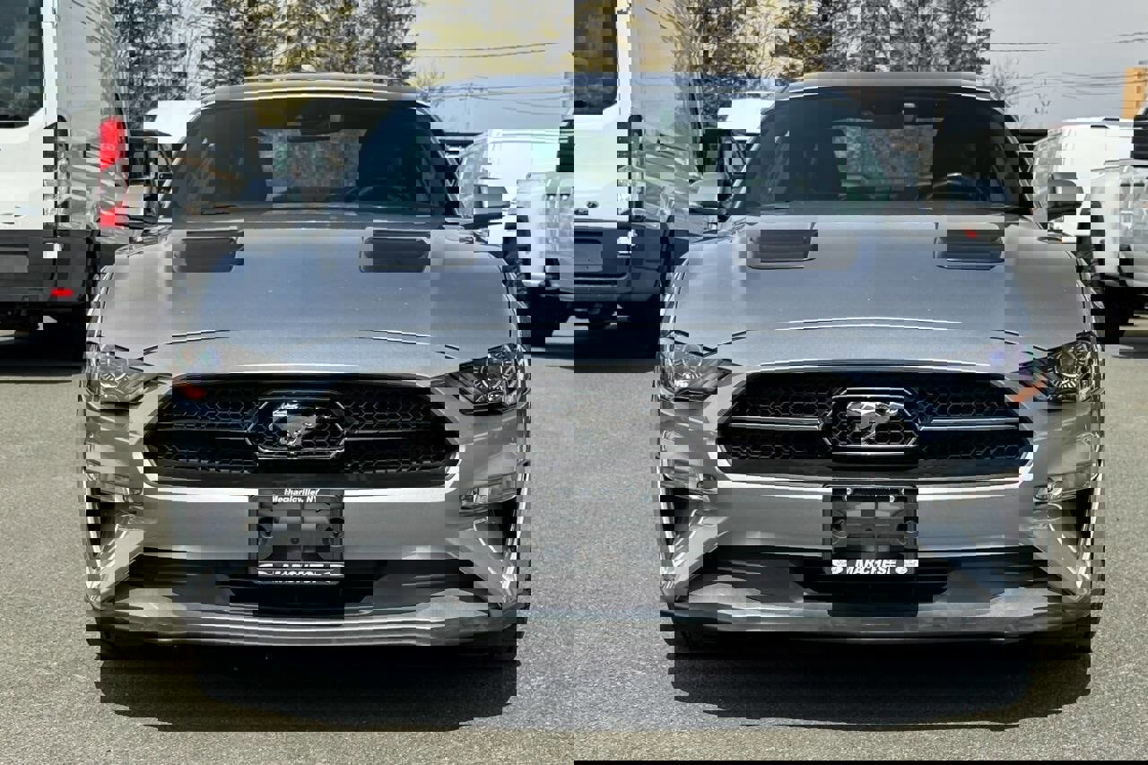 Used 2020 Ford Mustang Premium w/ Equipment Group 201A image 8