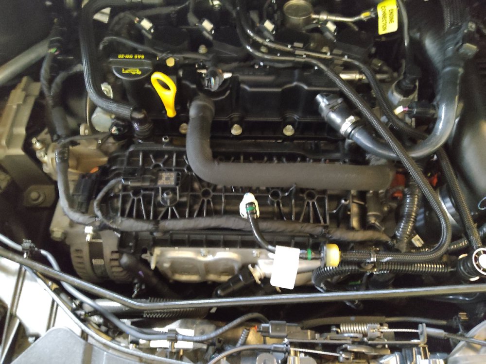Used 2019 Ford Escape SE FWD image 30