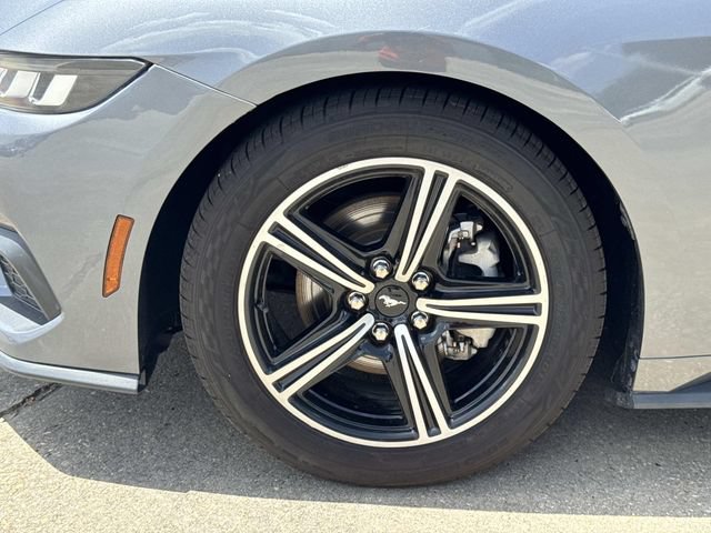 Used 2024 Ford Mustang Premium RWD image 6