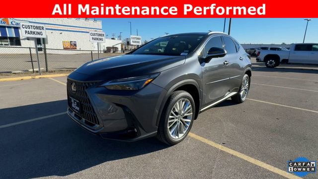 Used 2025 Lexus NX 350 AWD w/ Cold Area Package image 4