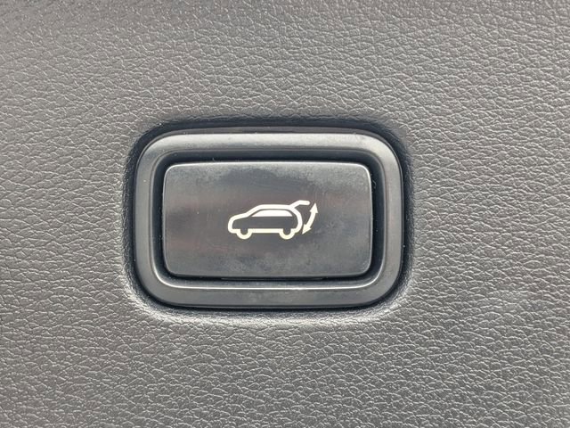Used 2024 Kia Sportage X-Line w/ X-Line Premium Package image 13