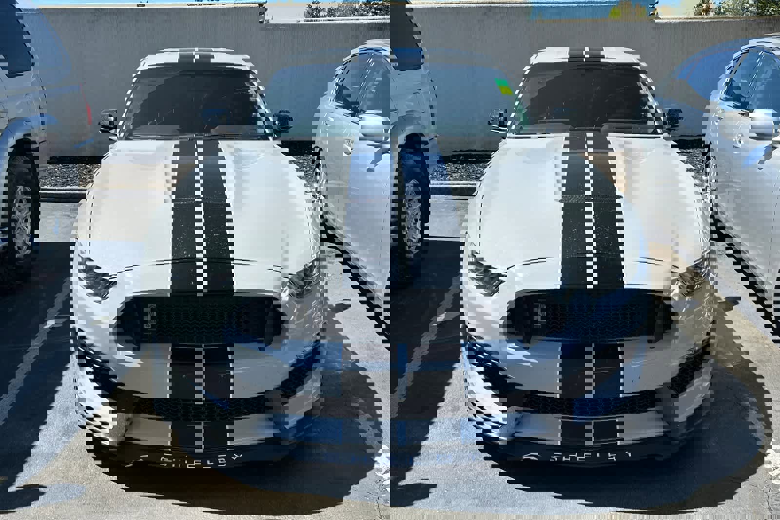 Used 2016 Ford Mustang Shelby GT350 w/ Technology Package RWD image 6