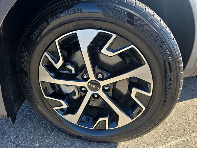 Used 2023 Kia Sportage EX image 10