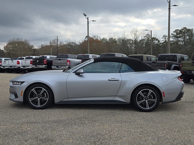 Used 2024 Ford Mustang Premium image 10