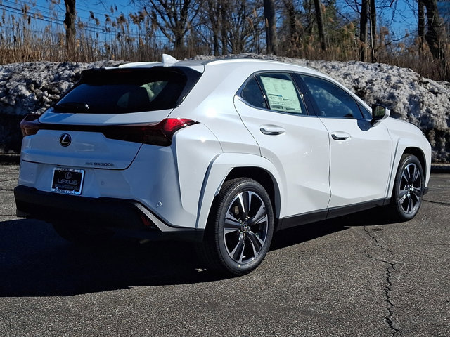 New 2026 Lexus UX 300h AWD image 4