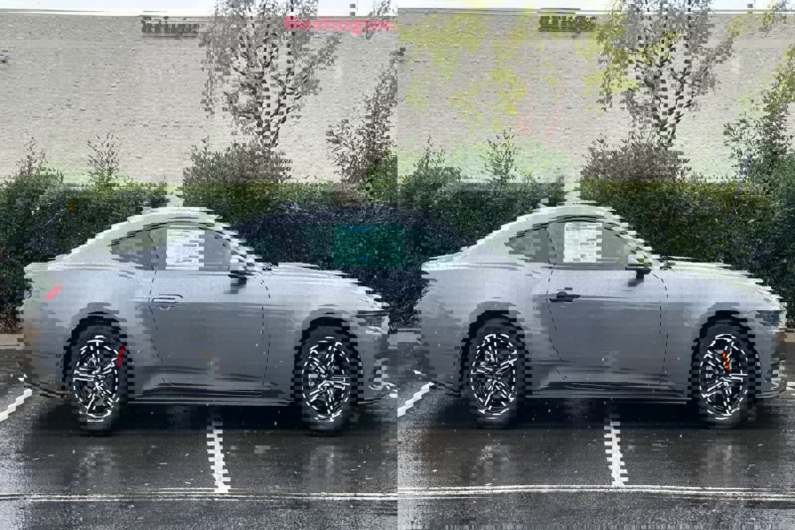 New 2025 Ford Mustang EcoBoost image 8