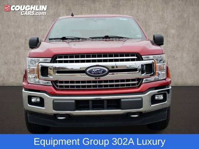 Used 2019 Ford F150 XLT w/ Equipment Group 302A Luxury image 3
