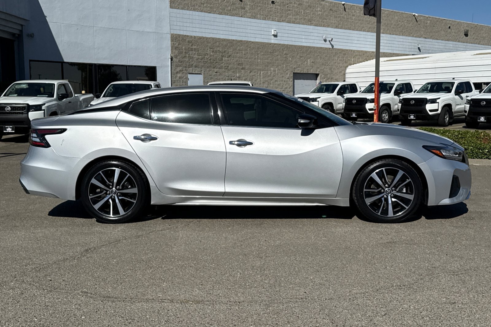 Certified 2023 Nissan Maxima SV w/ Floor Mat Group FWD image 3
