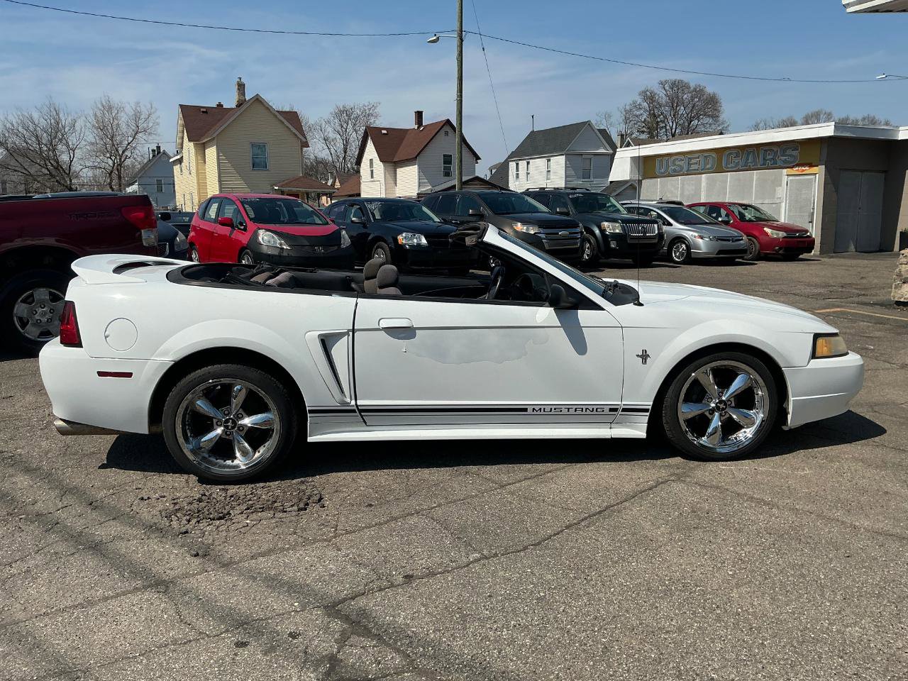 Used 2000 Ford Mustang Convertible RWD image 12