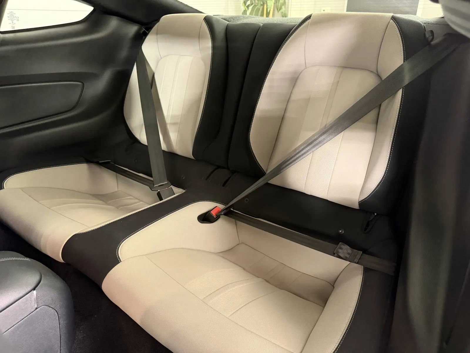 Used 2019 Ford Mustang GT w/ Equipment Group 301A RWD image 25
