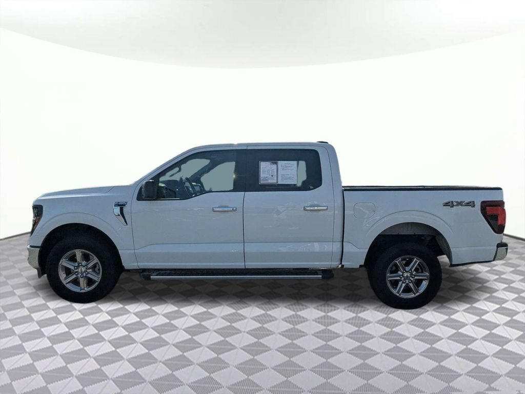 Used 2025 Ford F150 XLT w/ Equipment Group 301A Standard AWD/4WD image 6
