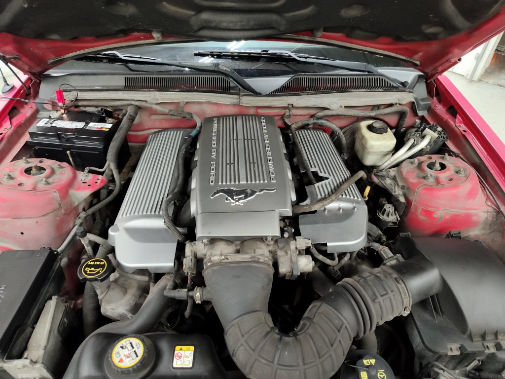 Used 2006 Ford Mustang GT RWD image 8