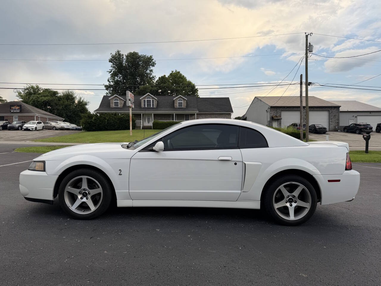 Used 2003 Ford Mustang Cobra RWD image 4