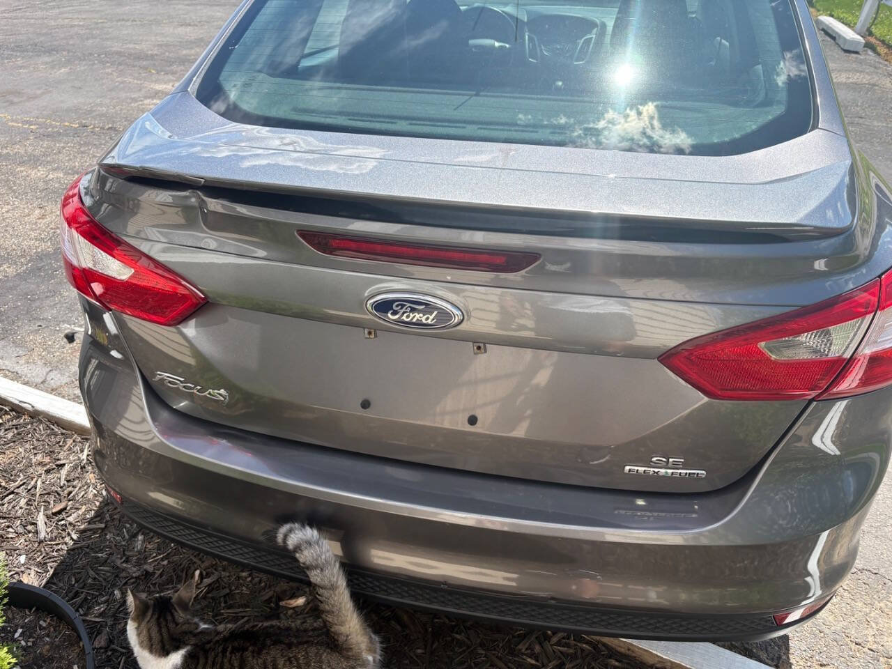 Used 2014 Ford Focus SE w/ SE Sport Package FWD image 10