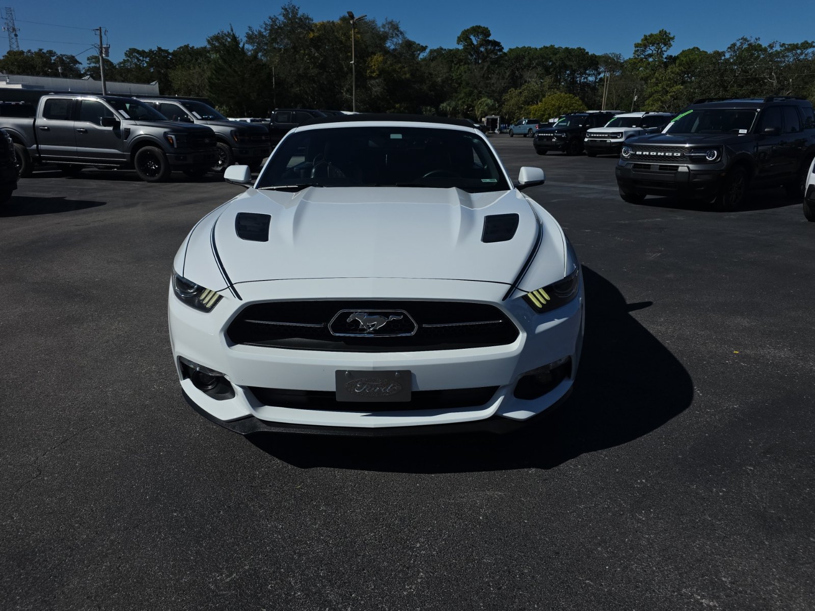 Used 2015 Ford Mustang GT Premium w/ 50 Years Appearance Package RWD image 2