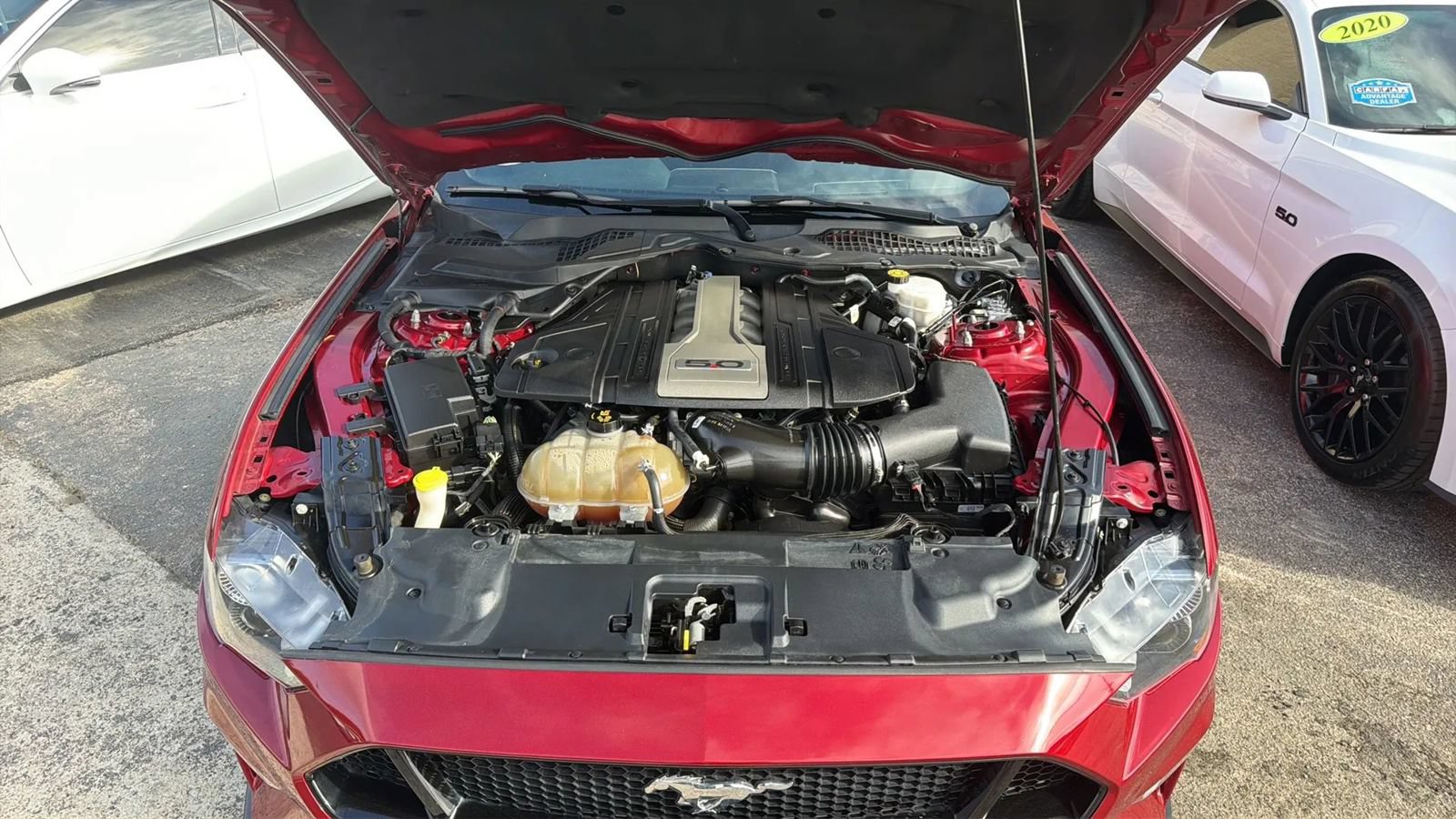 Used 2019 Ford Mustang GT w/ Equipment Group 301A RWD image 22