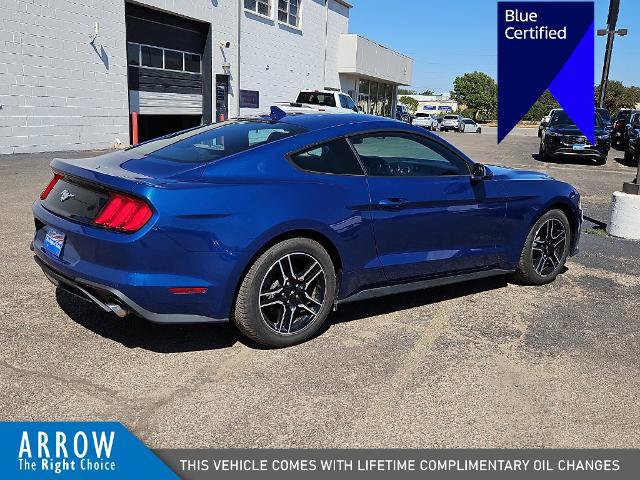 Certified 2023 Ford Mustang Coupe w/ Equipment Group 101A RWD image 13
