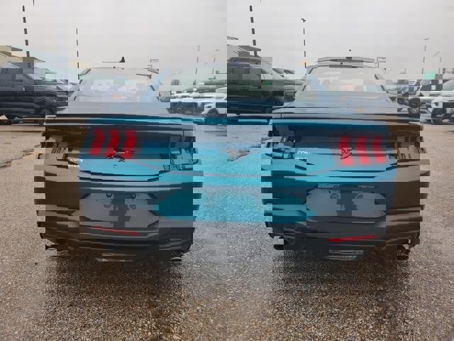 New 2026 Ford Mustang Coupe w/ Mustang Nite Pony Package image 21