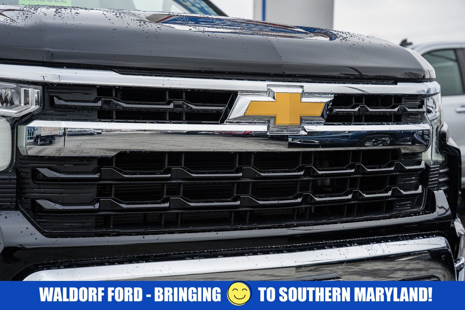 Used 2025 Chevrolet Silverado 1500 LT w/ All Star Edition Plus image 12