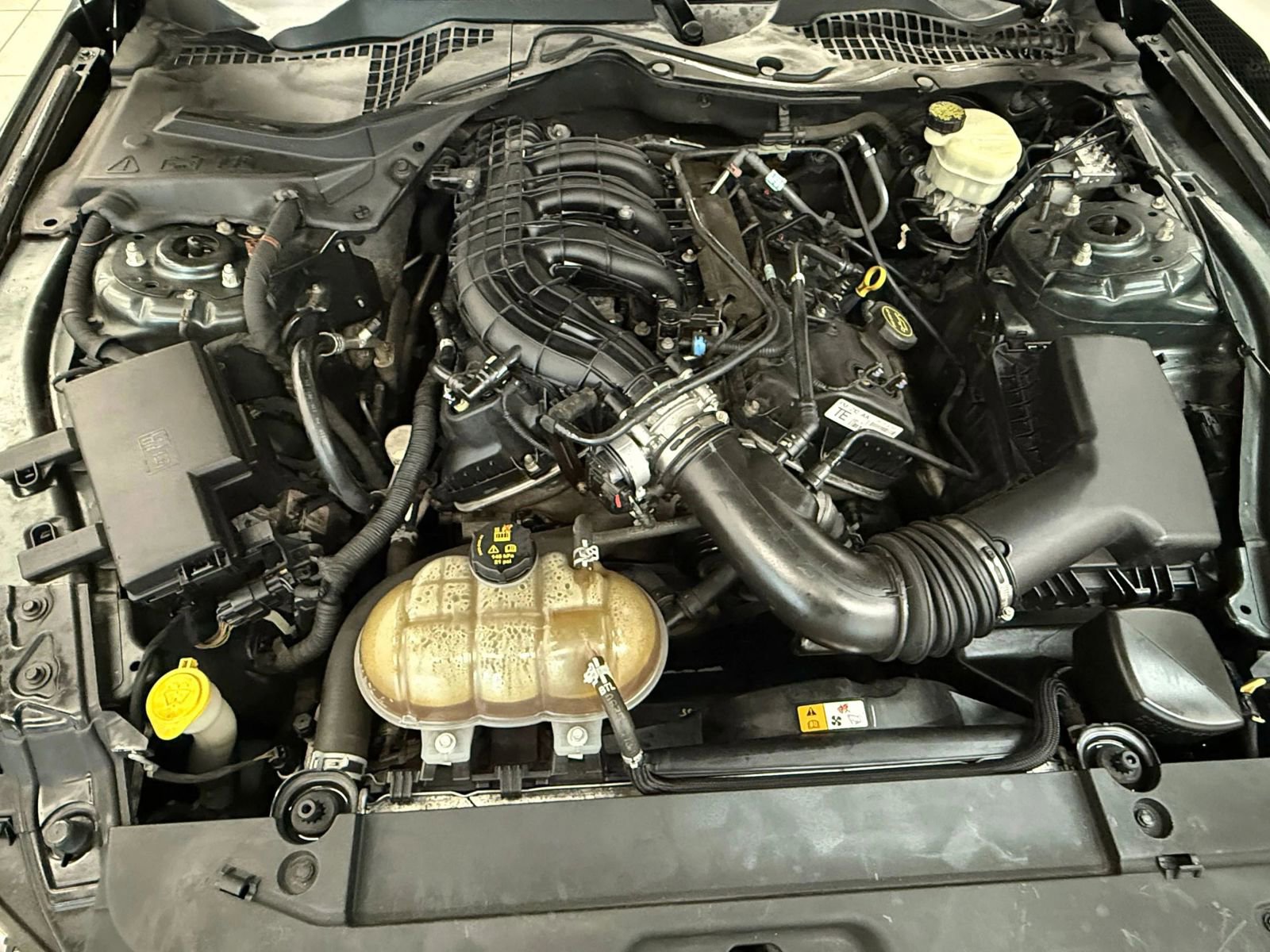 Used 2015 Ford Mustang Coupe w/ Equipment Group 051A image 32